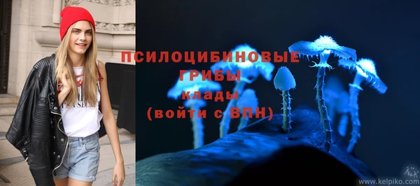 спиды Арсеньев
