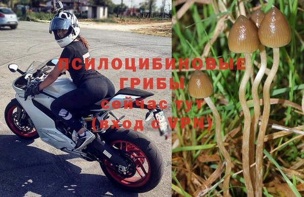 наркотики Аркадак