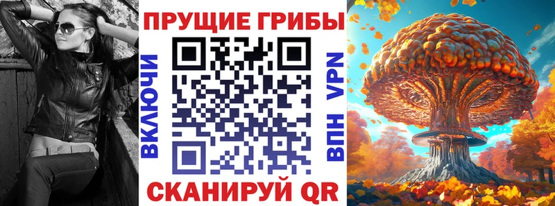 shop формула  гидра ссылки  Славск  наркота  Галлюциногенные грибы MAGIC MUSHROOMS 